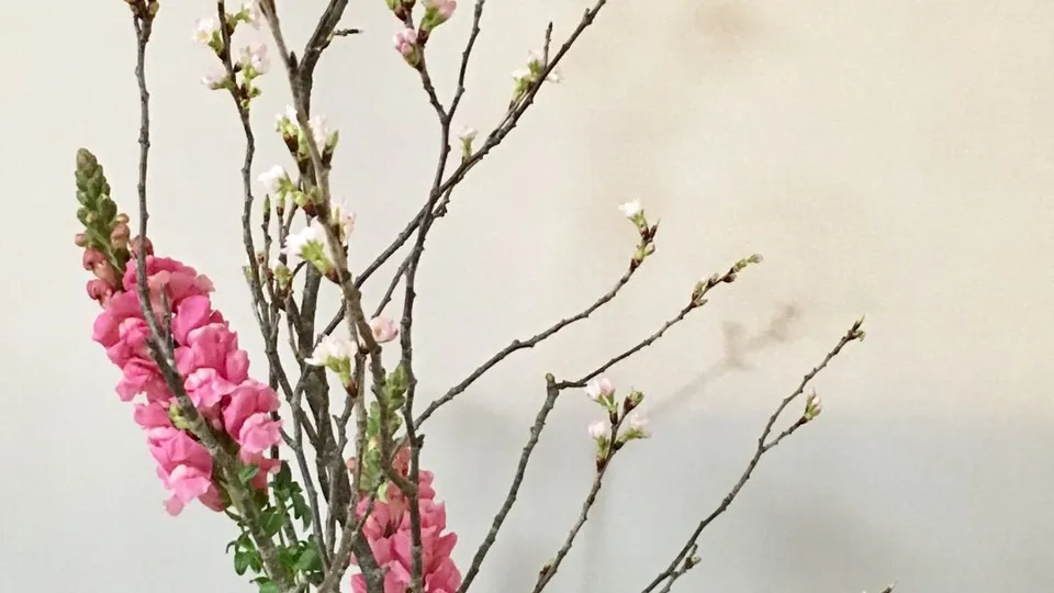 Giappone, L’arte giapponese di disporre i fiori: ikebana